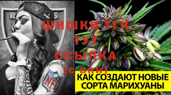 хмурый Белоозёрский