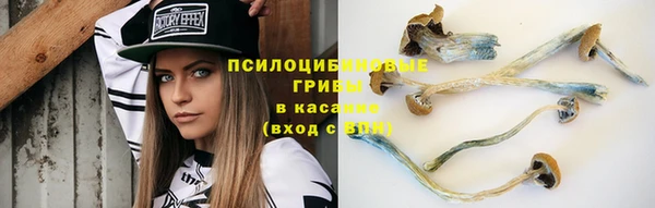 a pvp Сосновка
