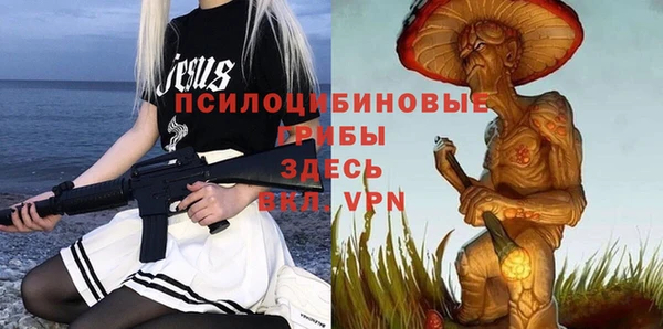 хмурый Белоозёрский